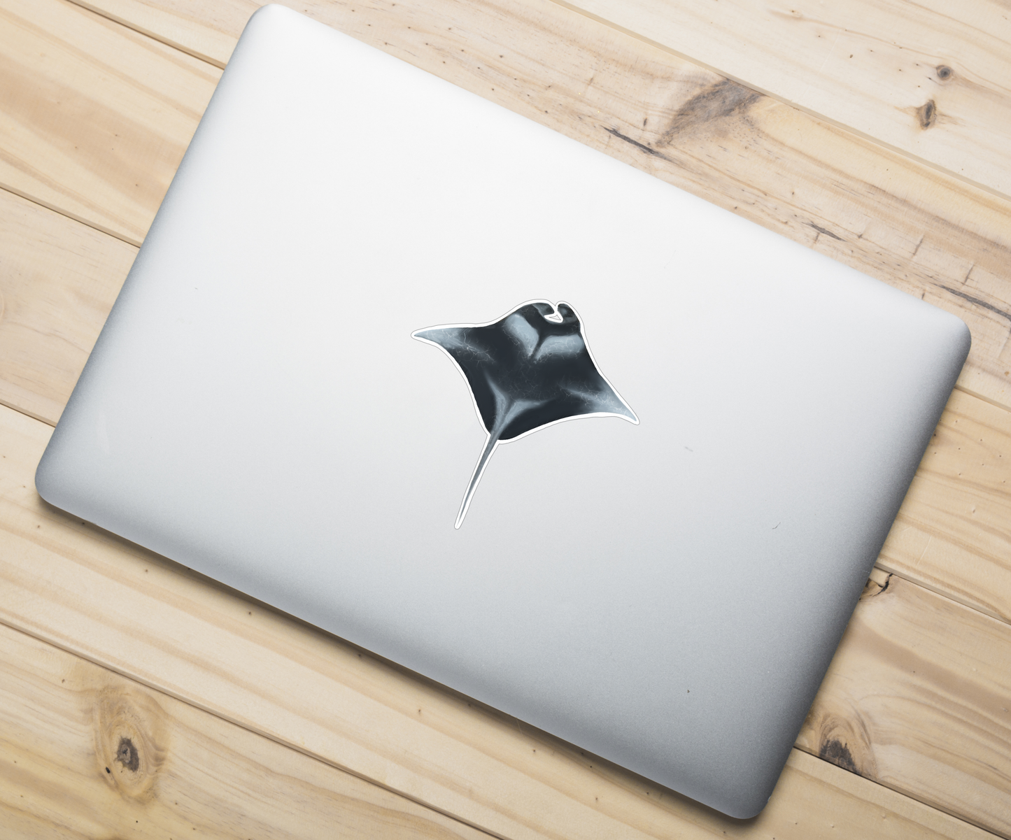 Manta Ray Sticker