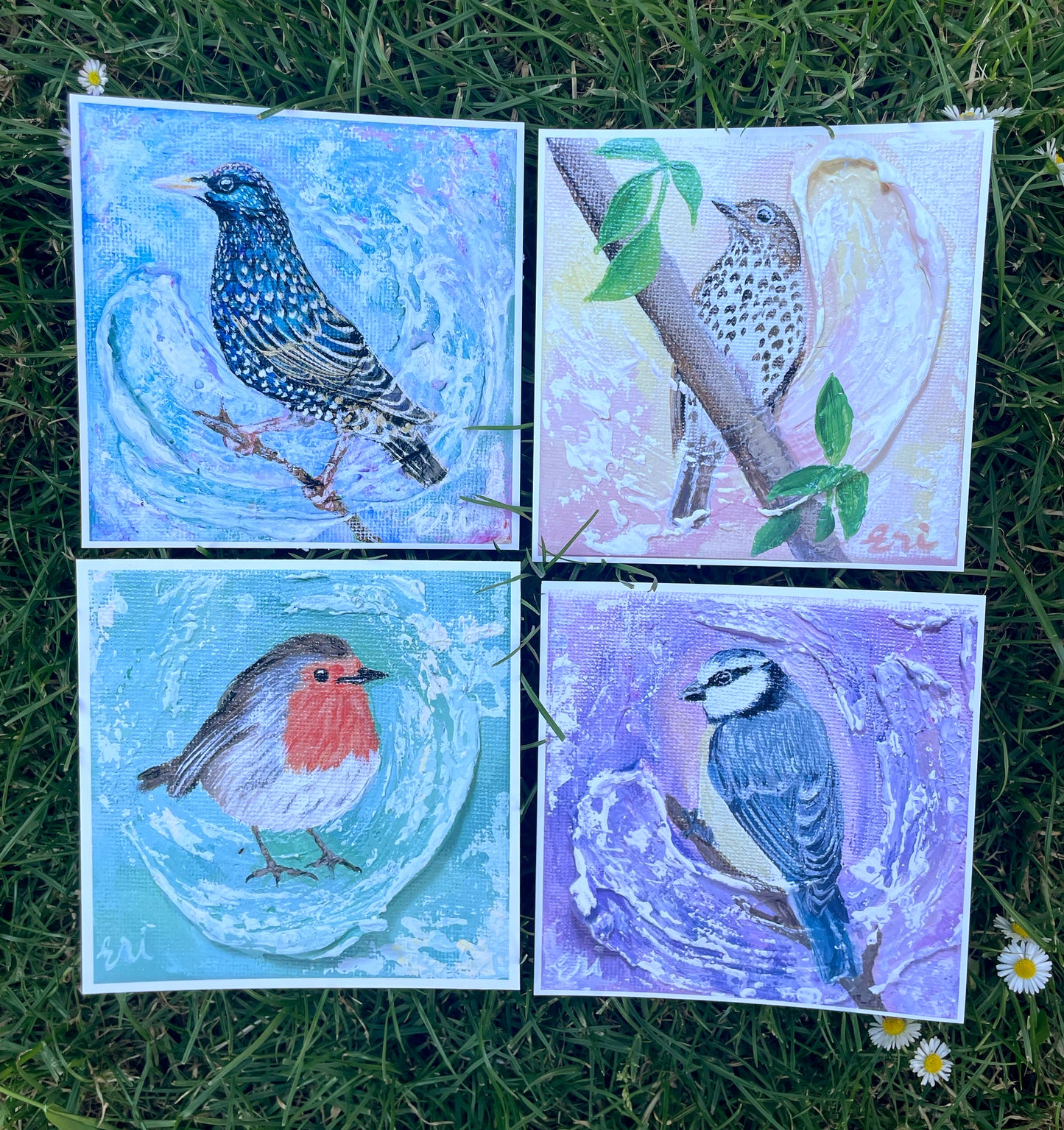 Garden Bird Art Prints – Set of 4 | Blue Tit, Robin, Starling & Song Thrush