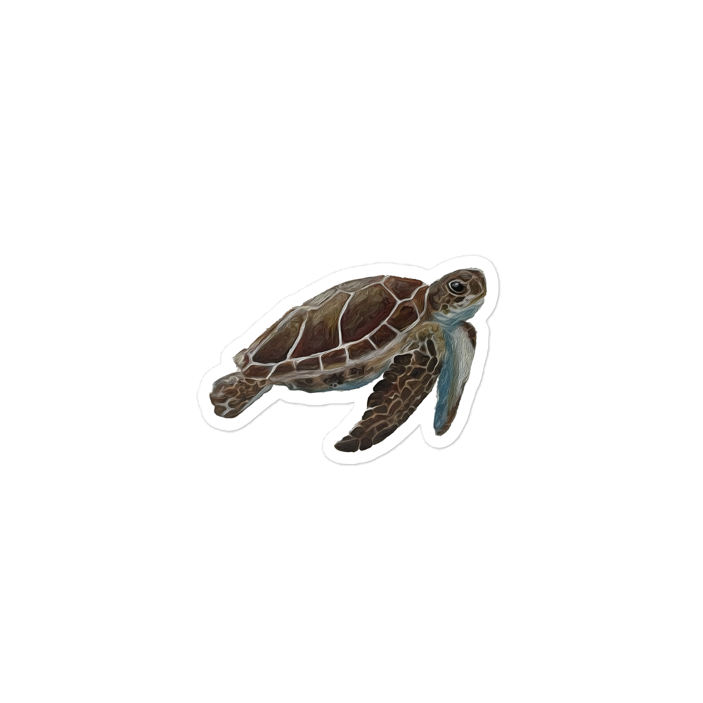 Turtle Sticker