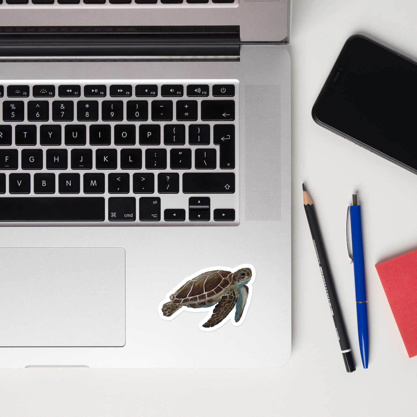 Turtle Sticker
