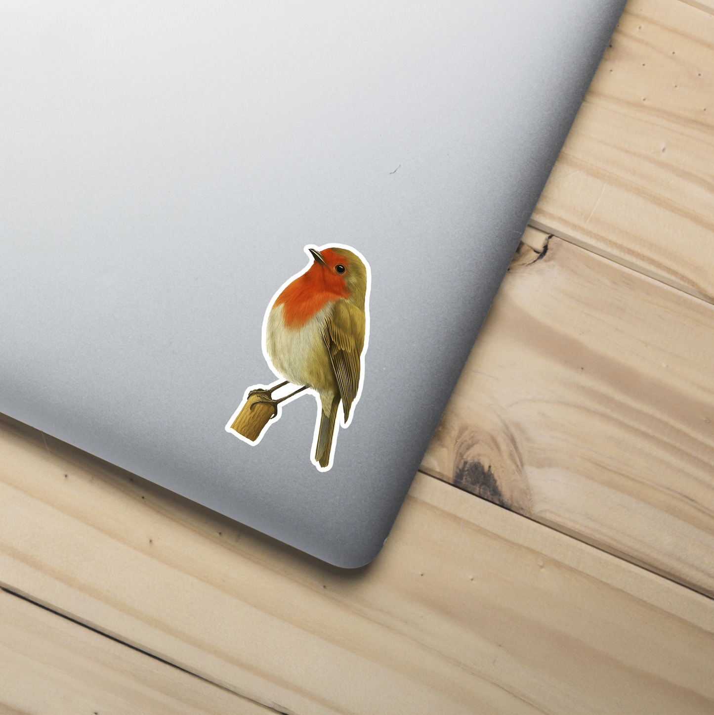 Robin Sticker