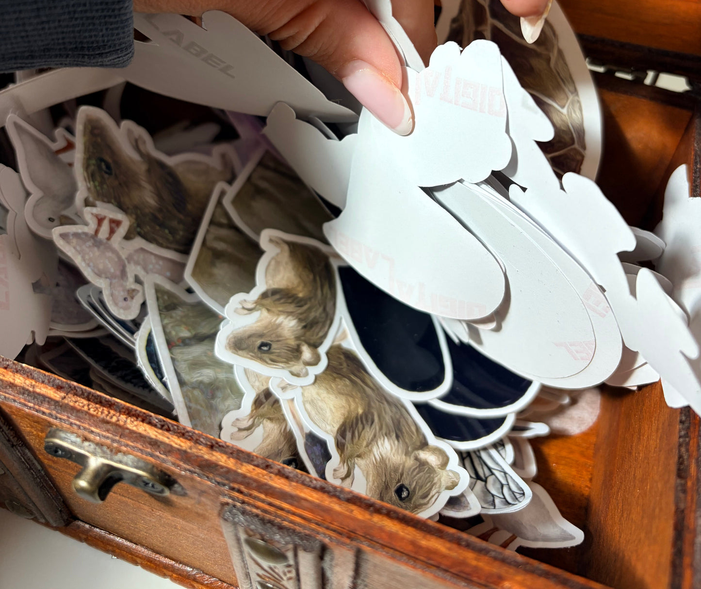 Treasure Chest Pick - (Random Retired Stickers)