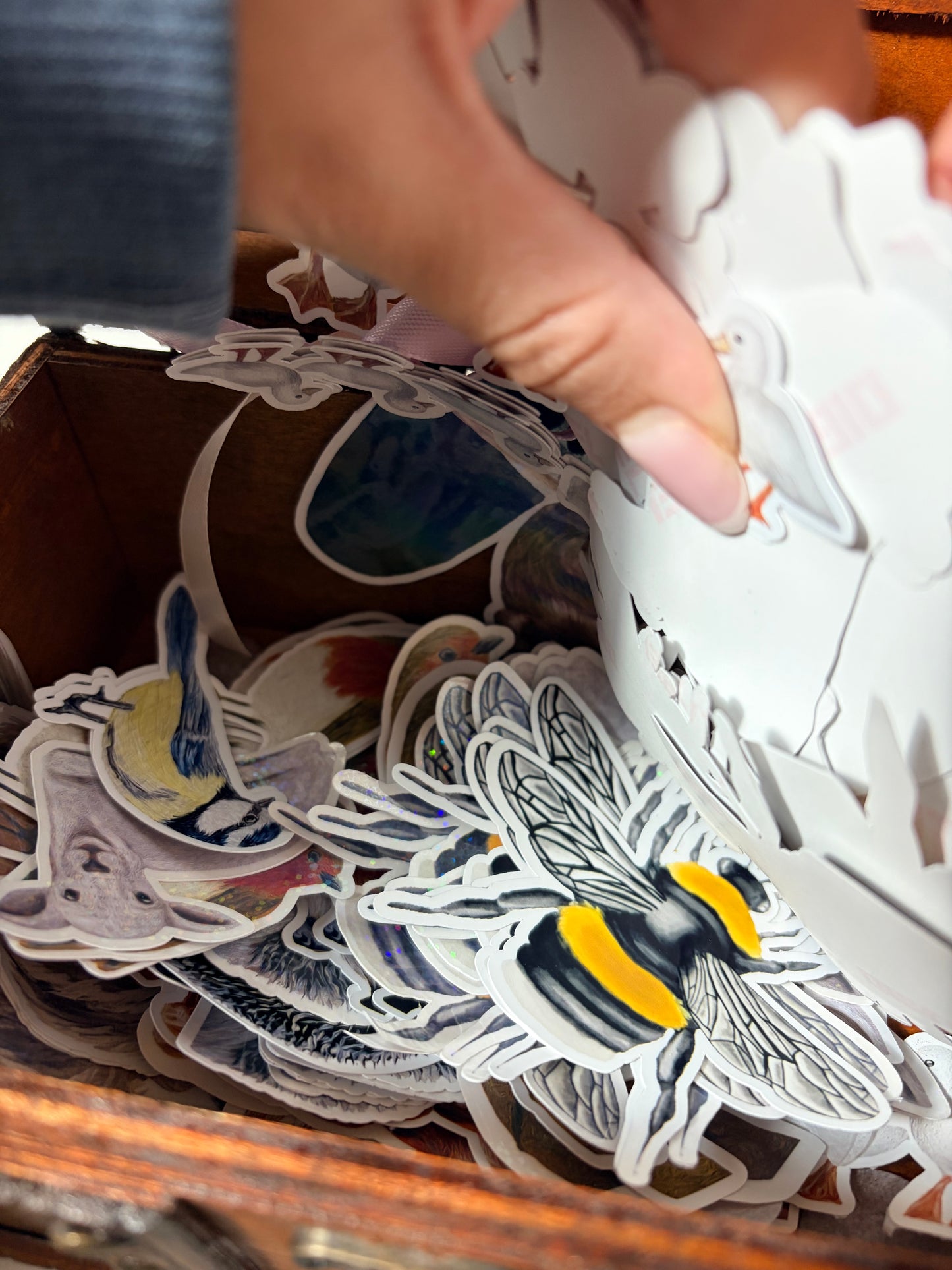 Treasure Chest Pick - (Random Retired Stickers)