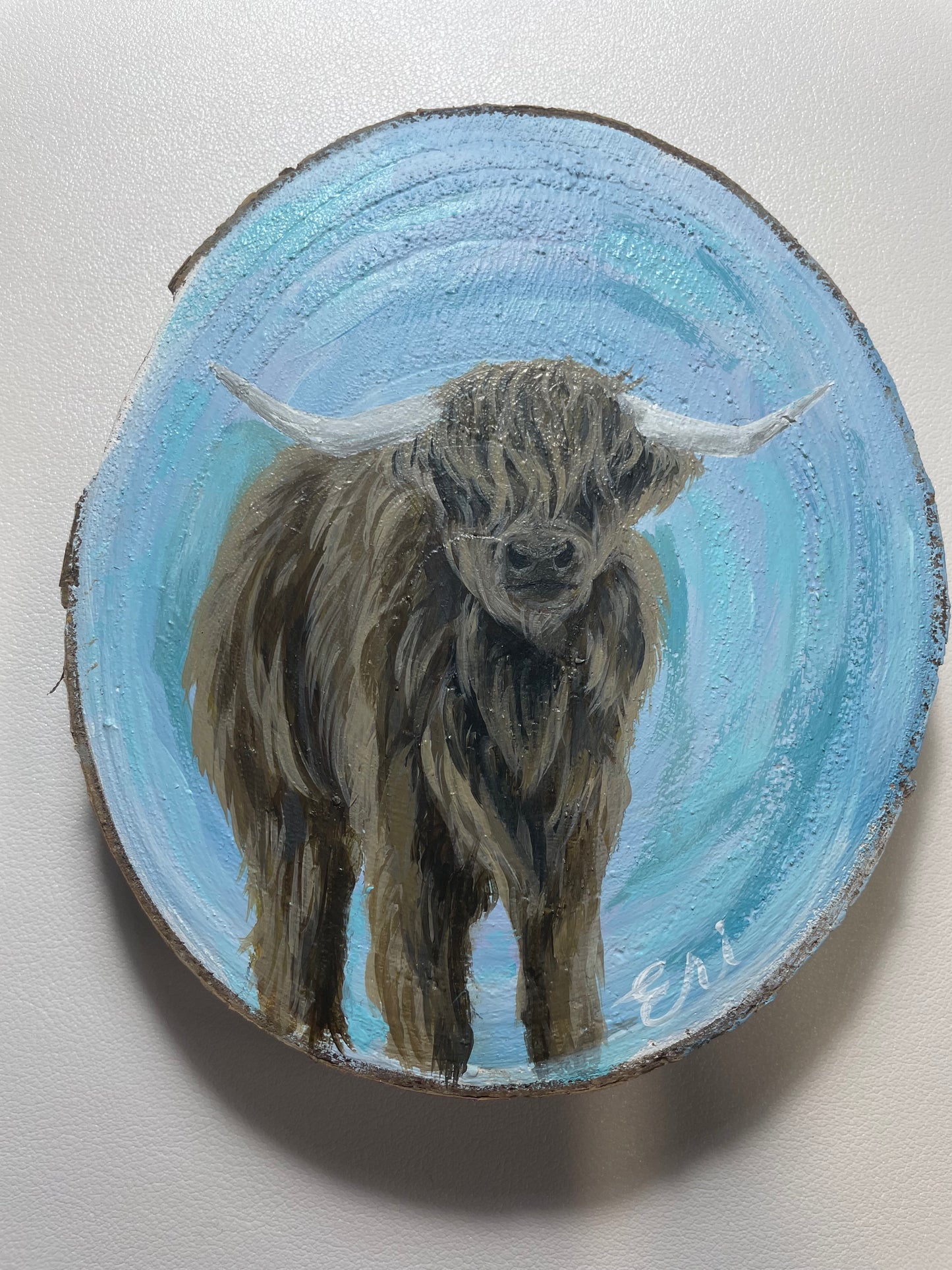 Large Highland Cow Wood Slice