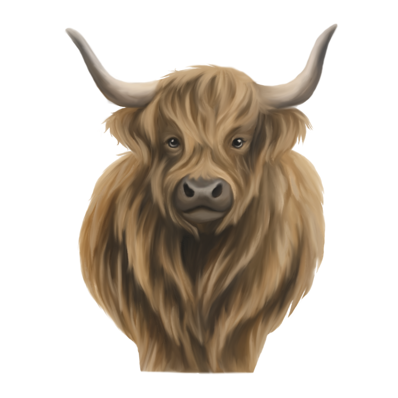 Highland Cow Sticker