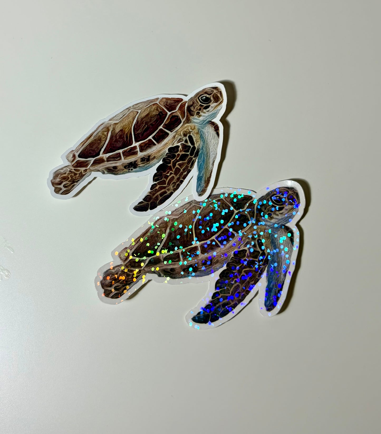 Turtle Sticker