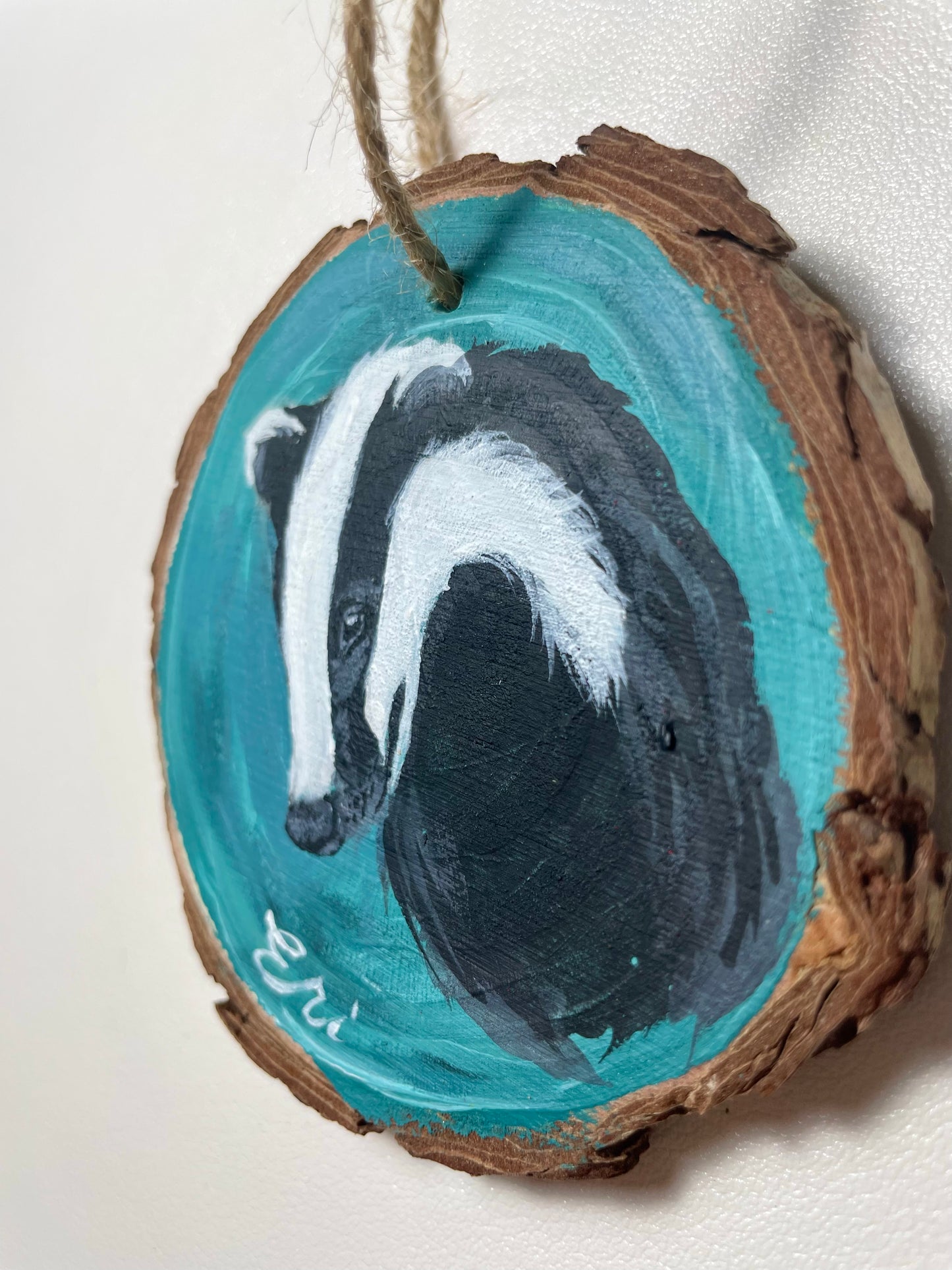 Curious Badger Wood Slice