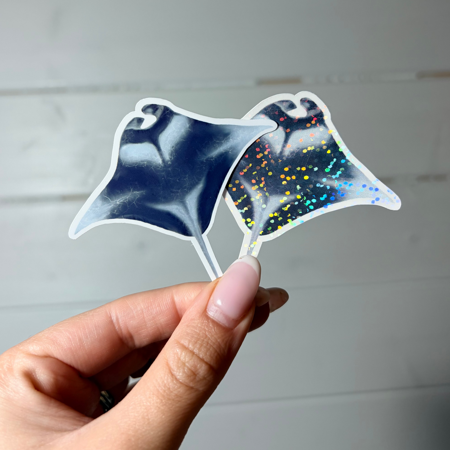 Manta Ray Sticker