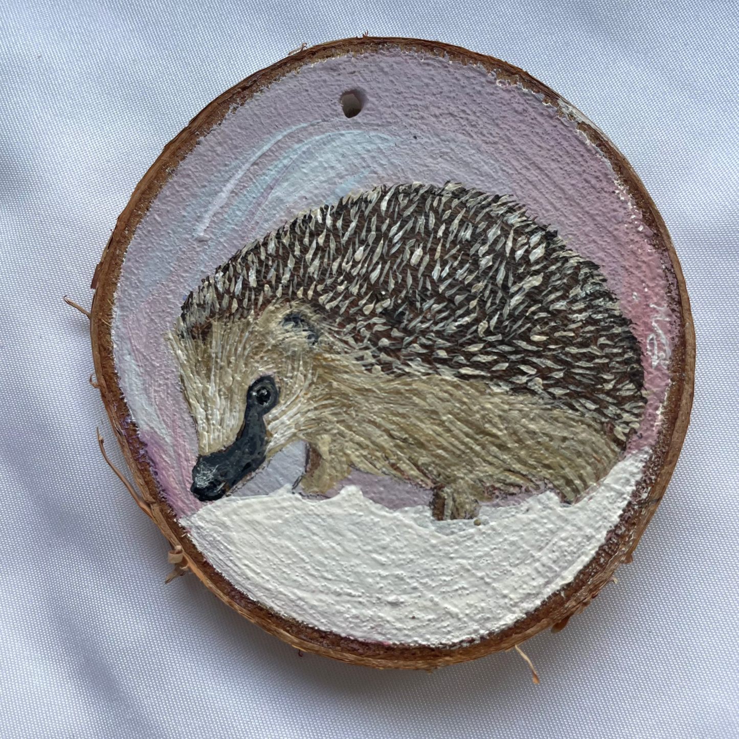 Hedgehog on woodslice