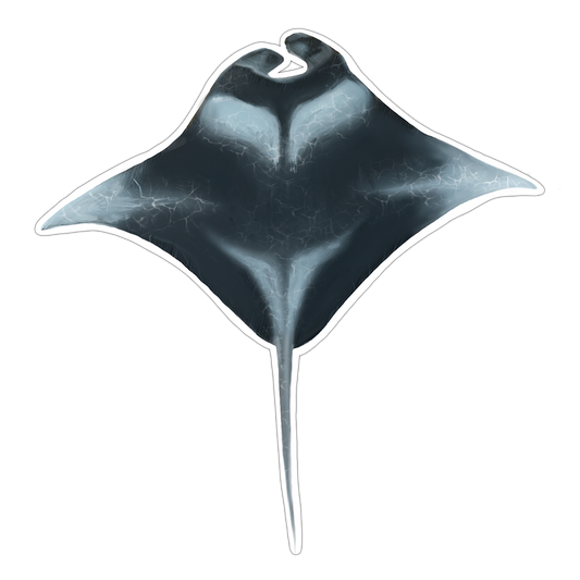 Manta Ray Sticker