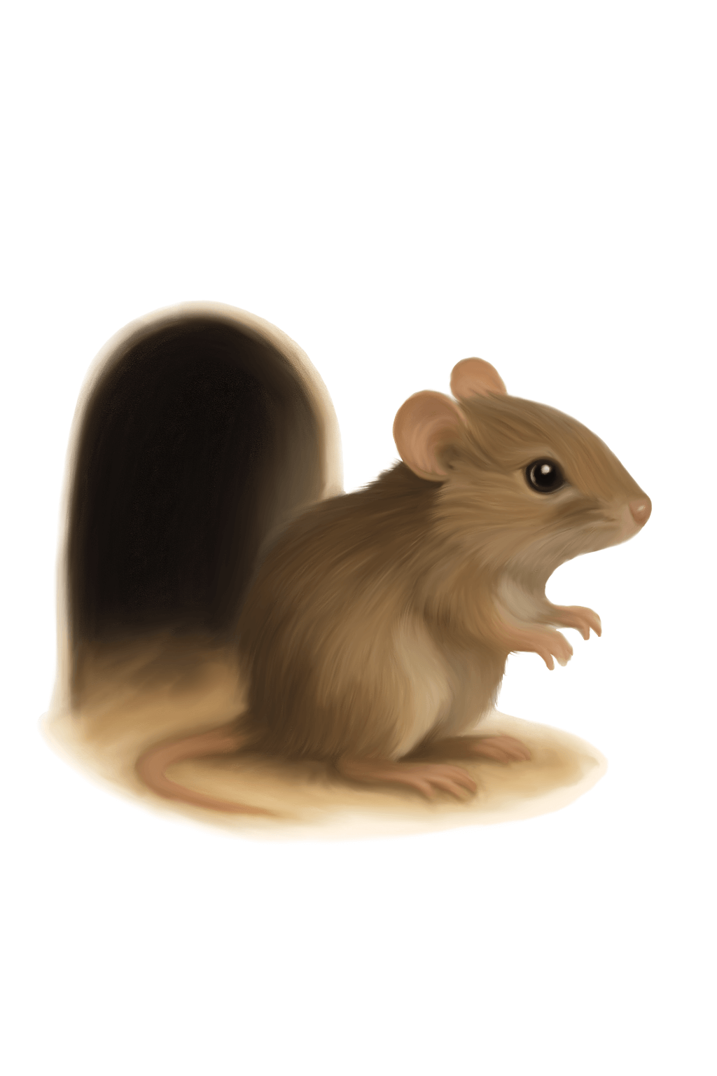 Doormouse Sticker