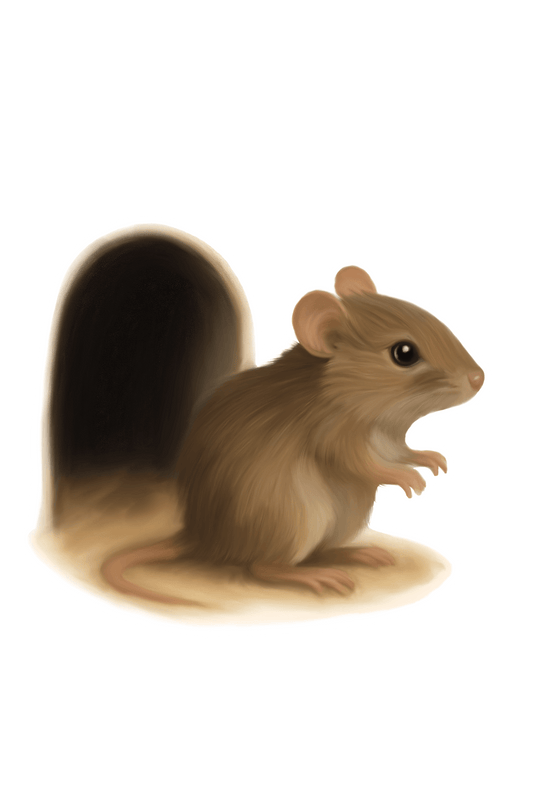 Doormouse Sticker
