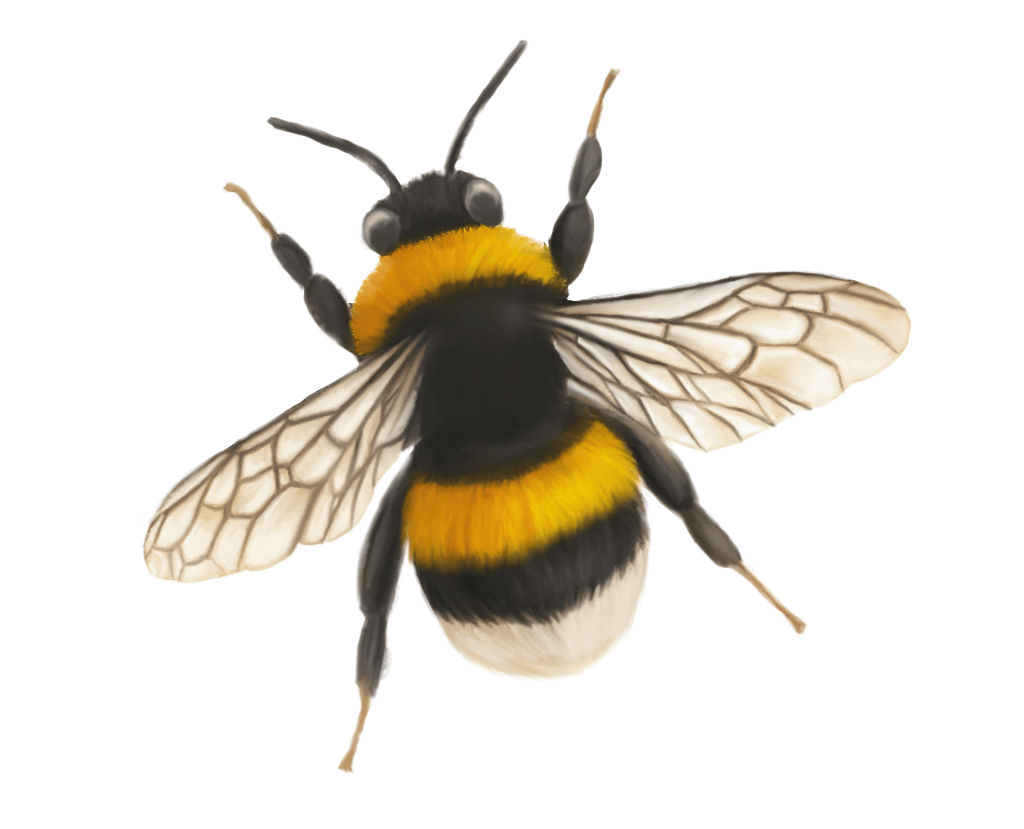 Bumblebee Sticker