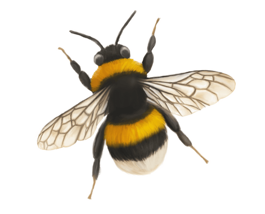 Bumblebee Sticker