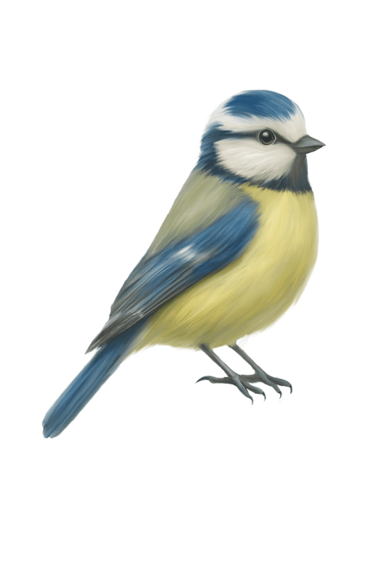 Blue Tit Sticker