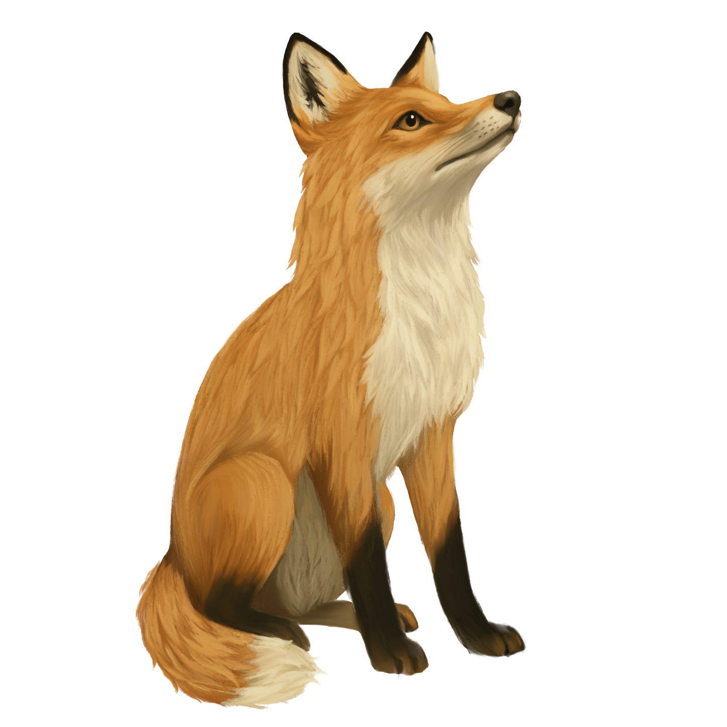 Fox Sticker