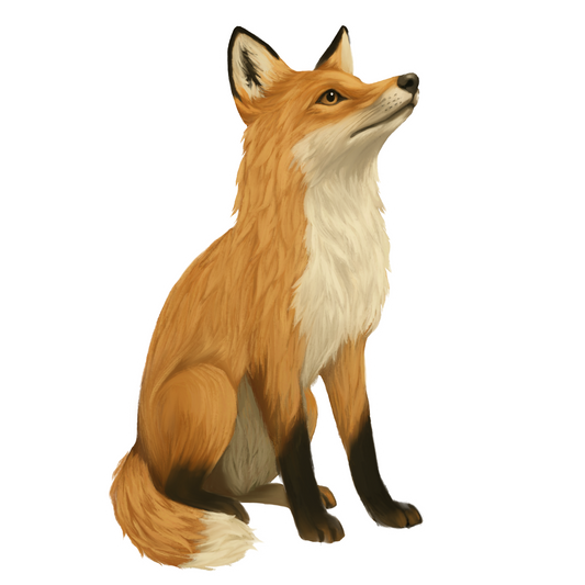 Fox Sticker