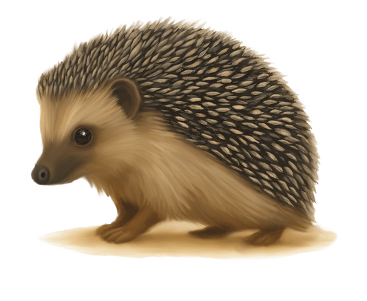 Hedgehog Sticker