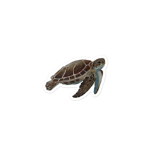 Turtle Sticker