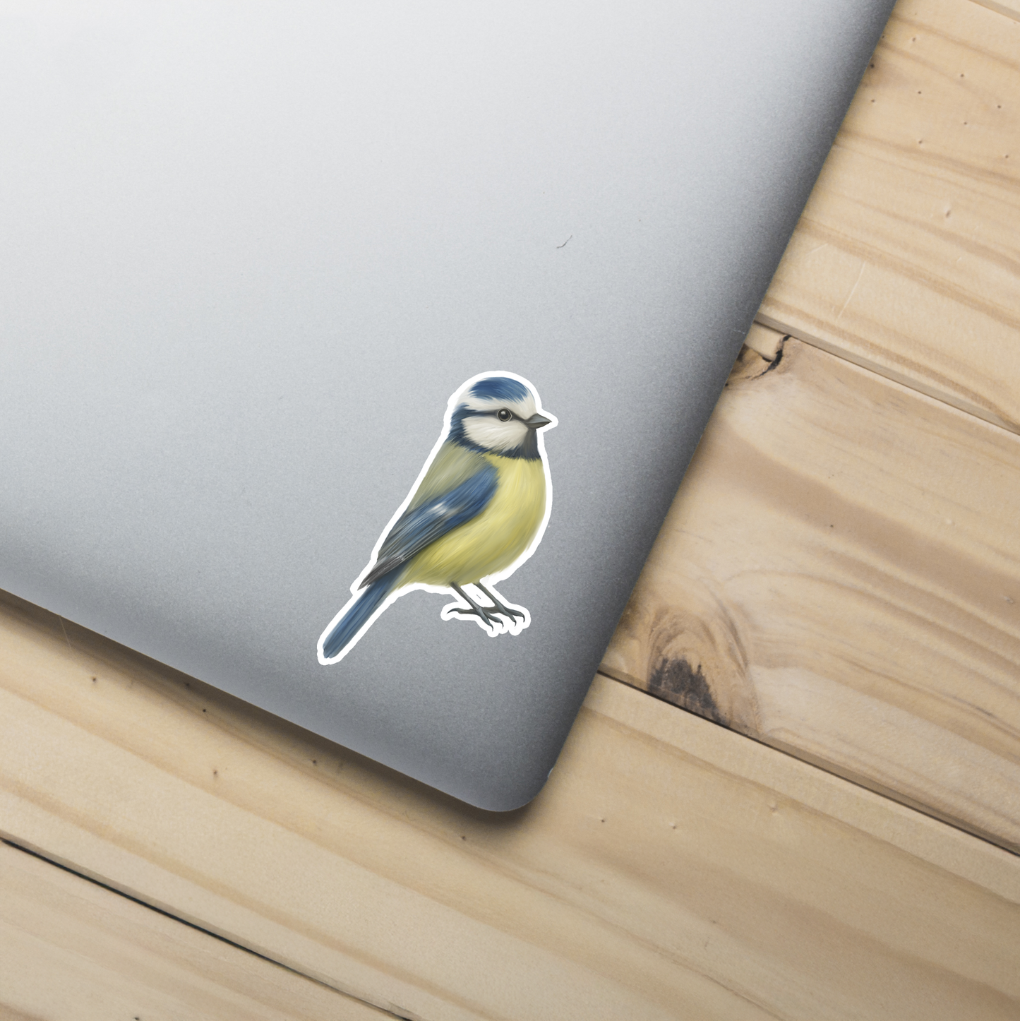 Blue Tit Sticker