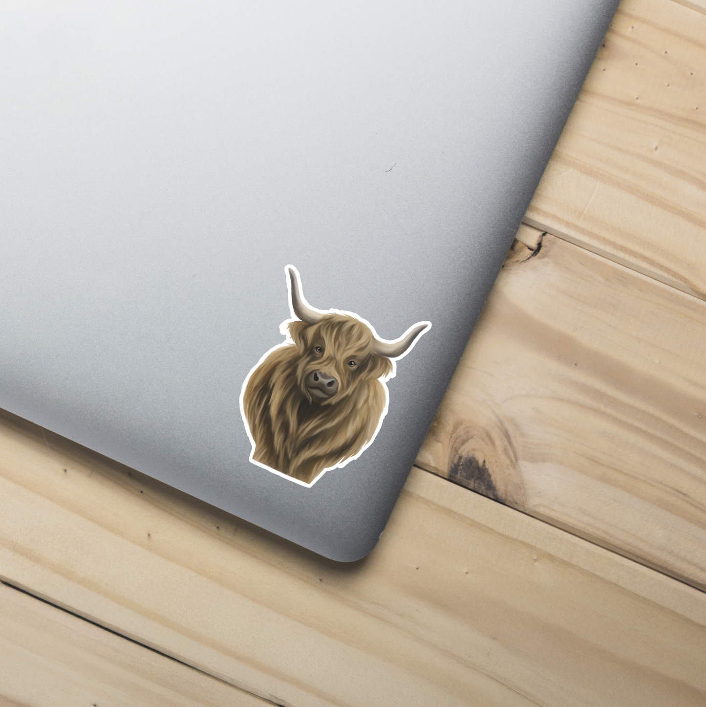 Highland Cow Sticker