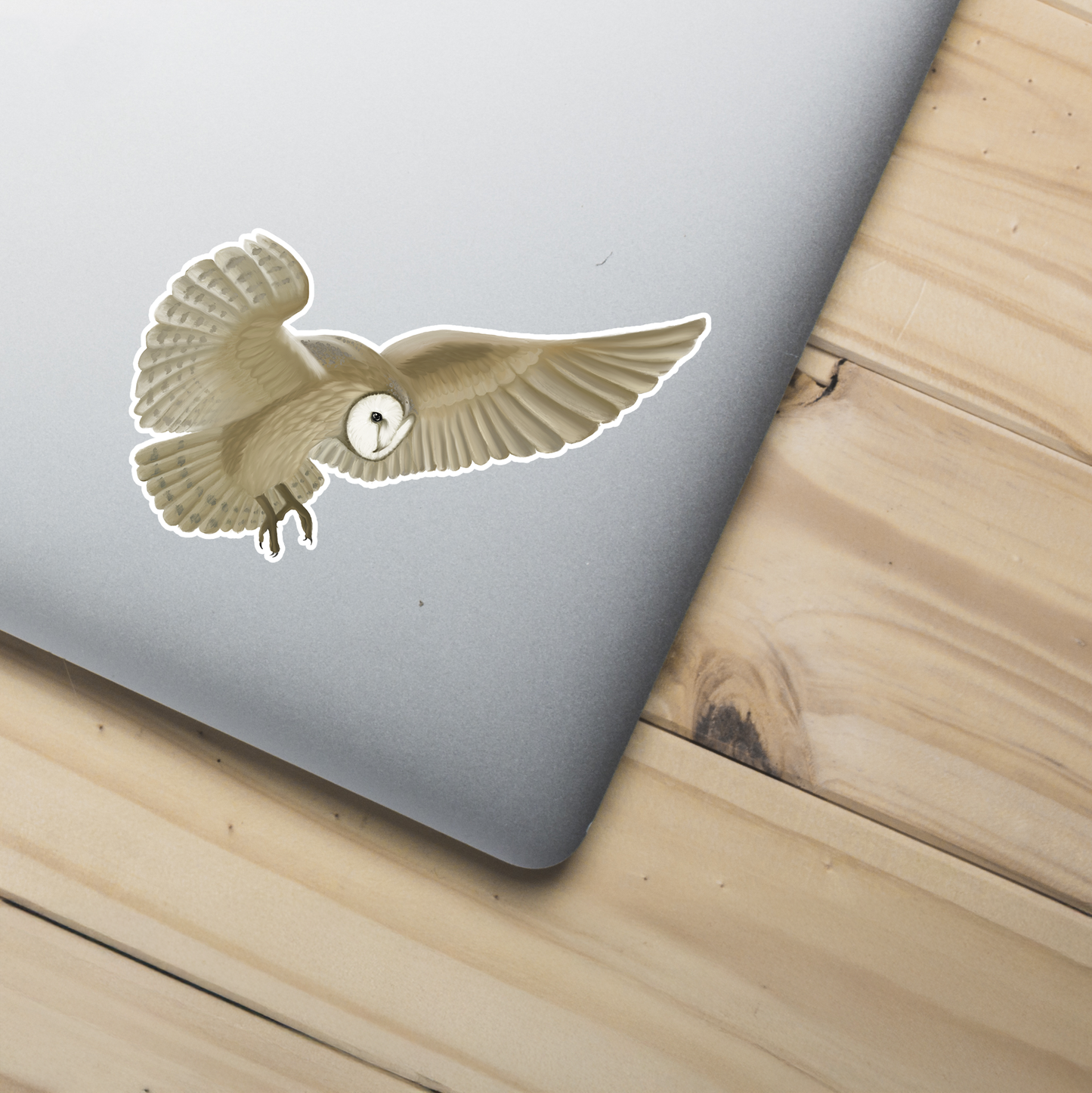 Barn Owl In Flight Sticker