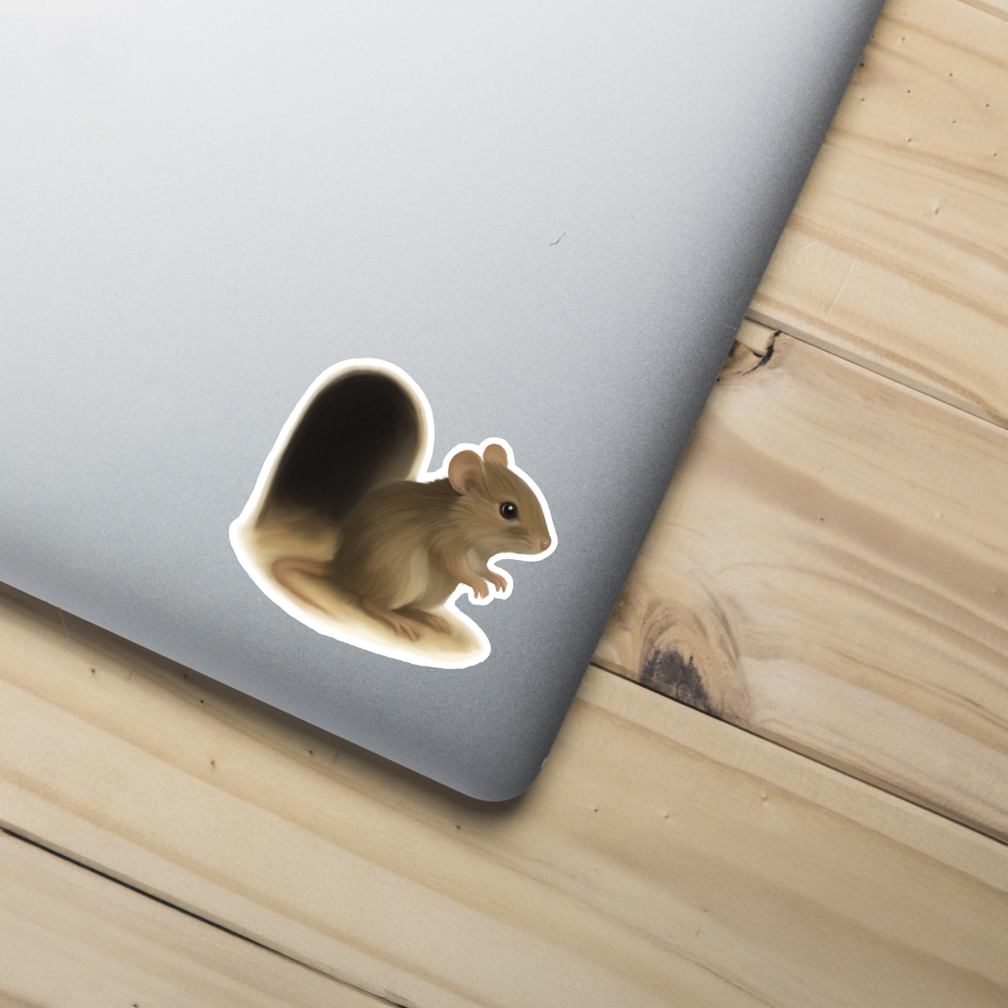 Doormouse Sticker