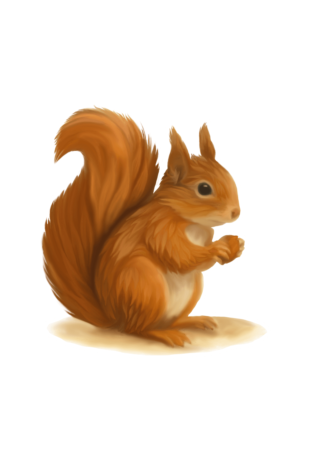 Red Squirrel Sticker