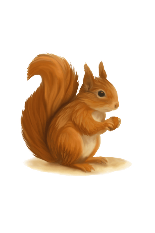 Red Squirrel Sticker